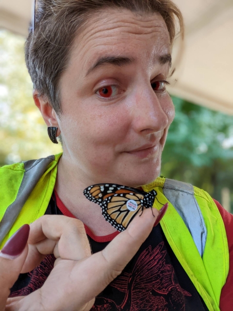 A monarch butterfly with a small tag on its wing perched on someone's finger