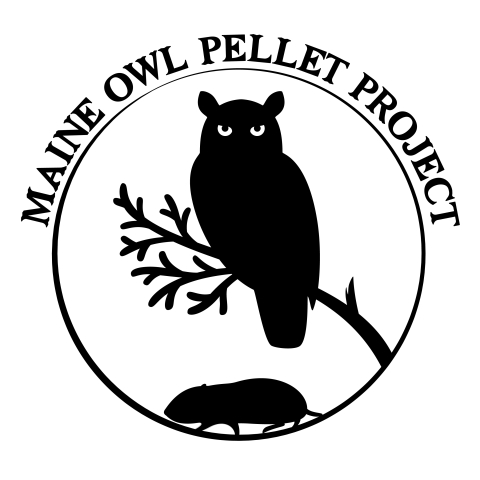 black and white graphic of Great Horned Owl and Northern Bog Lemming