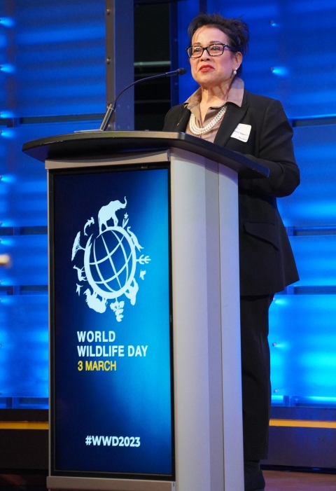 A woman speaking at a podium. 