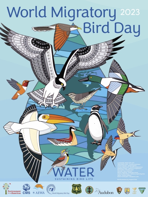 2023 world migratory bird day poster