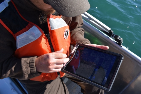 Biologist in a boat working on a tablet computer