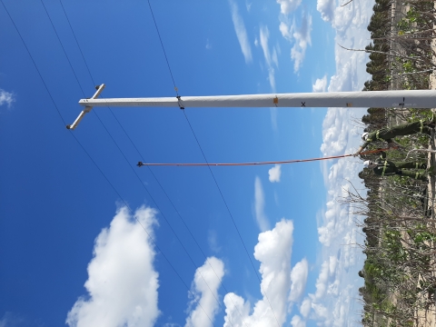 Two people hold a long pole with a small marker, underneath a power line
