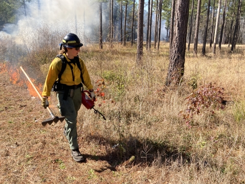  wildland firefighter with drip torch