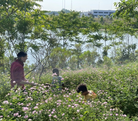 A man leads two children through meadow near mist net