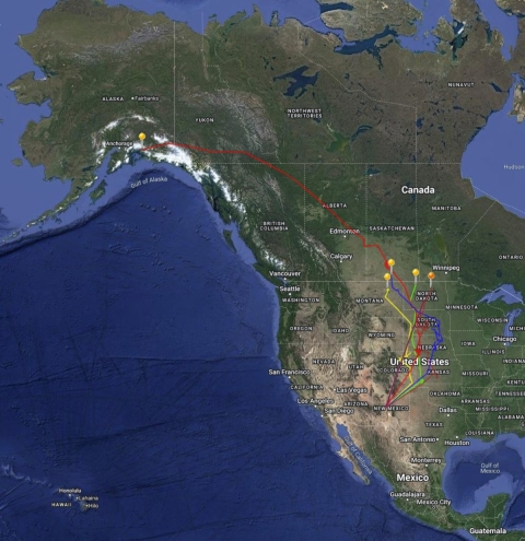 Map showing a subset of data from the Northern pintail telemetry GPS tags