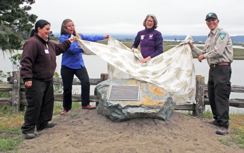 4 people lifting a fabric cover off of a plaque on a boulder