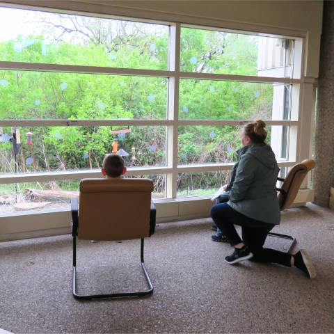 An adult and kid sit inside a building as they watch the bird feeder activity happening outside.