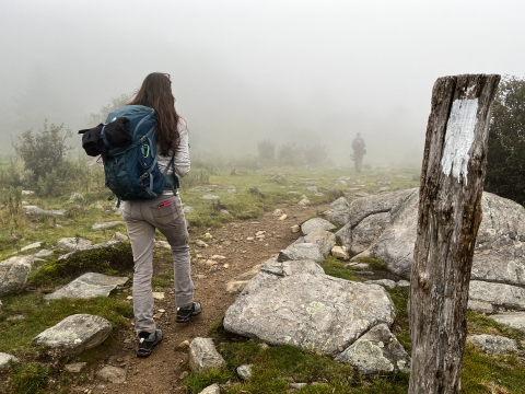 Two people hiking along a fog-covered trail