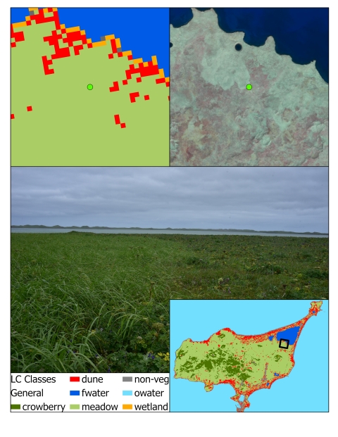 Aerial maps and on-the-ground photography of a dunegrass meadow on St. Paul Island.