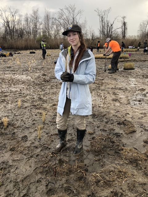 A young woman in muddy boots and a hat with the Service shield on it holds a small grass plant. She stands in a muddy marsh Behind her many volunteers with shovels and bright orange tee shirts prepare for additional plantings.