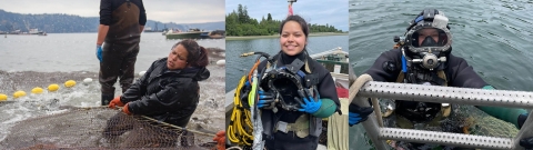 Photo collage of Elena Prest's Tribal fishing experiences. Left image: Elena in water pulling a net with salmon splashing within. Middle: Elena on a boat suiting up in her scuba diving gear with water in the background. Right: Elena in scuba gear entering the water from a boat.