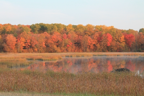 Red and orange trees line a pond in fall.