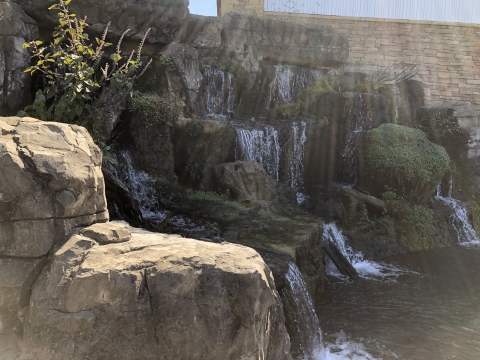 Waterfall at Mammoth Spring NFH