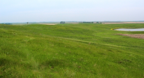 Green prairie hills and a wetland