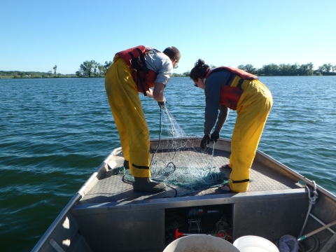 Two technicians pull in a gill net onto a boat