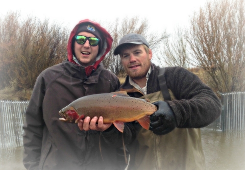 Biologists with a captured Yellowstone Cutthroat