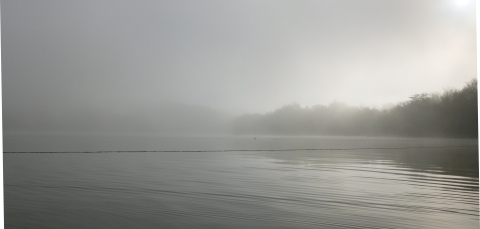 A gill net set out on the river on a foggy morning