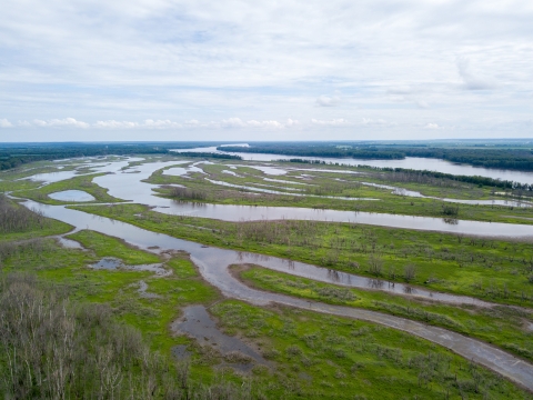 Image of the Upper Mississippi River and Floodplain