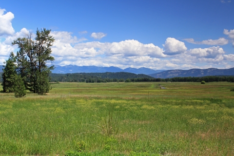 Scenic view overlooking a grassy field and distant wetland