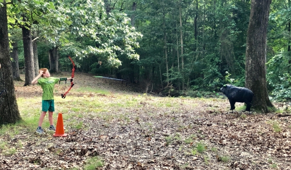 An image of a child shooting an arrow at a 3-D target.