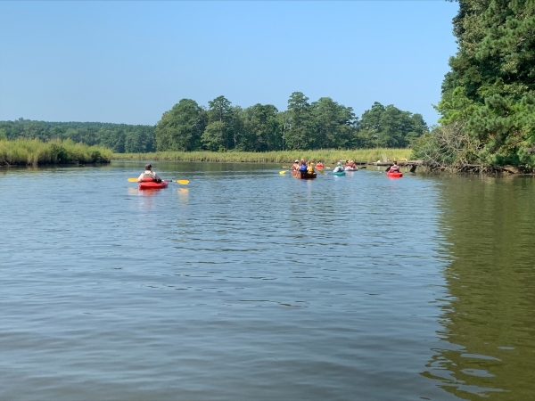 kayaking in creek