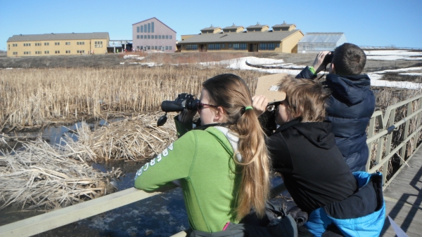 Three youth use binoculars in a wetland 