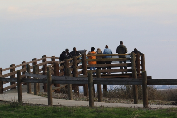 Group of people on an elevated viewing deck.