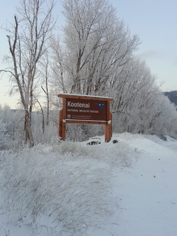Entrance sign with Kootenai National Wildlife Refuge in snowy habitat