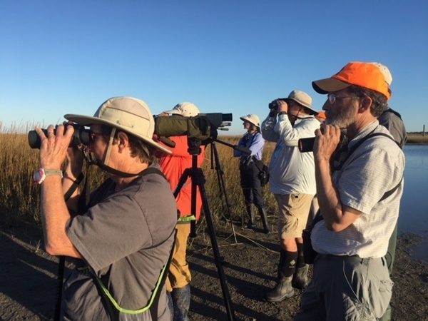 A group of people with binoculars, cameras, and telescopes all look in the same direction. One person is wearing a bright orange ball cap.