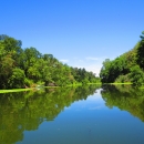 A view of the Sacramento River. Its flat, blue water is lined by bright green trees and vegetation. Blue skies are overhead.