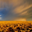 In the foreground a vast field of golden brown sagebrush land. In the distance a cloudy sky with a sliver of a rainbow on the horizon