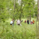 Families walking through woods