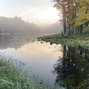 Wetland area with water, trees changing color to red and yellow, sun rise and a fog over the wetland area.