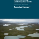 2013 Izembek National Wildlife Refuge Land Exchange/Road Corridor Final Environmental Impact Statement 