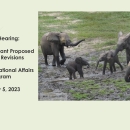 Public Hearing: African Elephant Proposed 4(d) Rule Revisions 