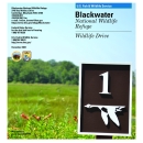 Blackwater NWR Wildlife Drive Guide