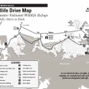 Blackwater NWR Wildlife Drive Map
