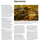Candidate Conservation Agreements Fact Sheet