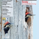 Seney National Wildlife Refuge - General Brochure