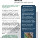 Species Status Assessment Fact Sheet