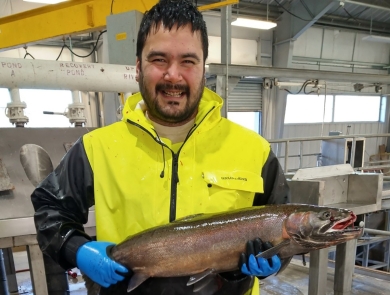Smiling hatchery employee wearing bright yellow jacket and holding large fish with blue gloves