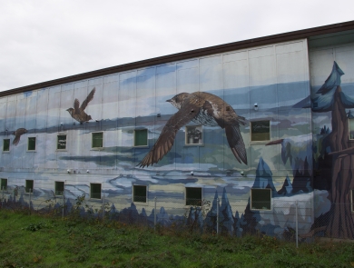 Small, chubby marbled murrelets fly over a coastal landscape consisting of redwoods and ocean coves in this mural painted by Lucas Thornton in Arcata, CA