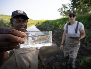 Two staff members show off a spotfin shiner found in a restored oxbow