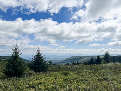 Rolling mountains with conifer trees and a partly cloudy sky