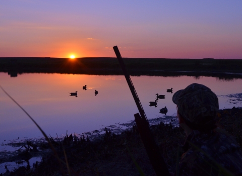 Waterfowl hunting at sunset