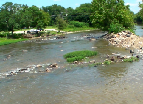 Appomattox River after Harvell Dam removed.
