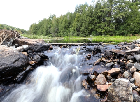 Water rushes over the rocky edge of a small pond surrounded by grass and evergreen trees.