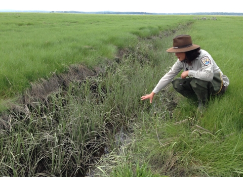 a woman in a US Fish and Wildlife Service uniform and hat holds her hand over a saltmarsh ditch