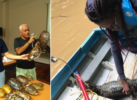 Right: 2 instructors show turtle shells; left: person works with black caiman