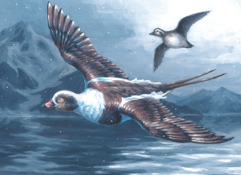 two ducks flying at night over water with mountains in the background